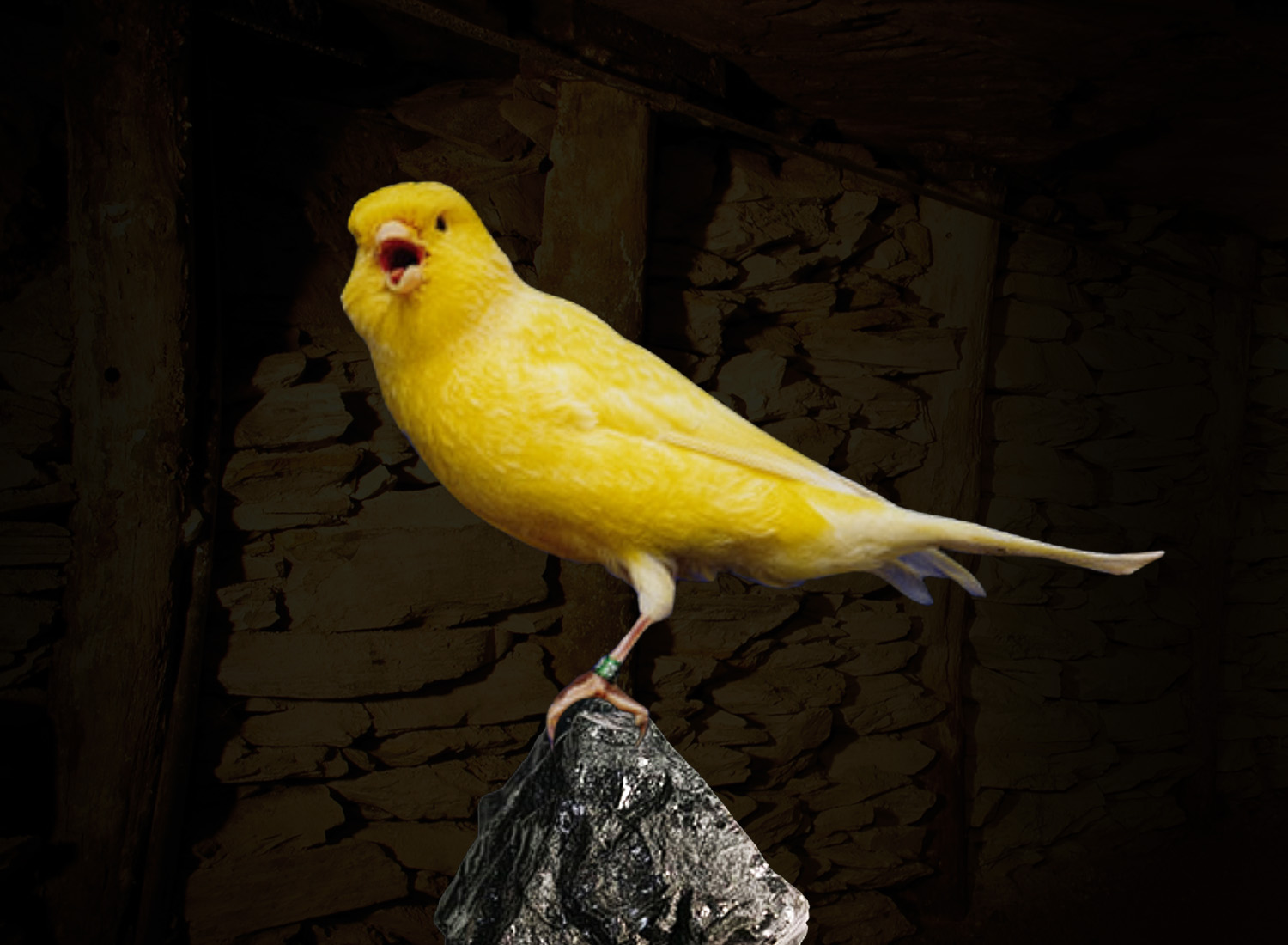 Canary in a coal mine — mine safety history at Tour-Ed Mine