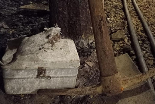 Tour-Ed Haunted Mine